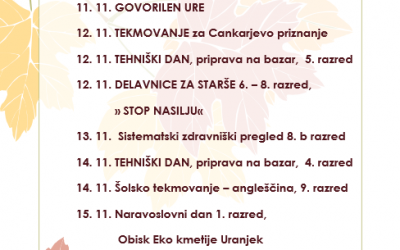 Aktivnosti november