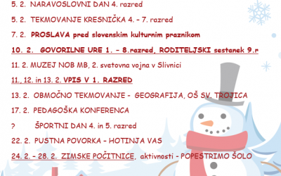 Aktivnosti v februarju