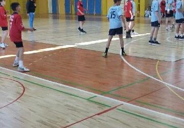Področno prvenstvo v rokometu