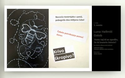 Nagrajenka likovnega natečaja “Čebele 2024: pomen čebel za okolje”