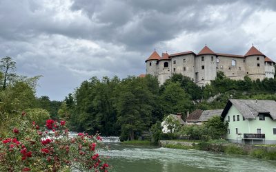 Zaključna ekskurzija sedmošolcev na Dolenjsko