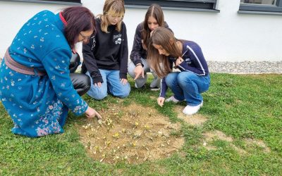 Projekt KROKUS
